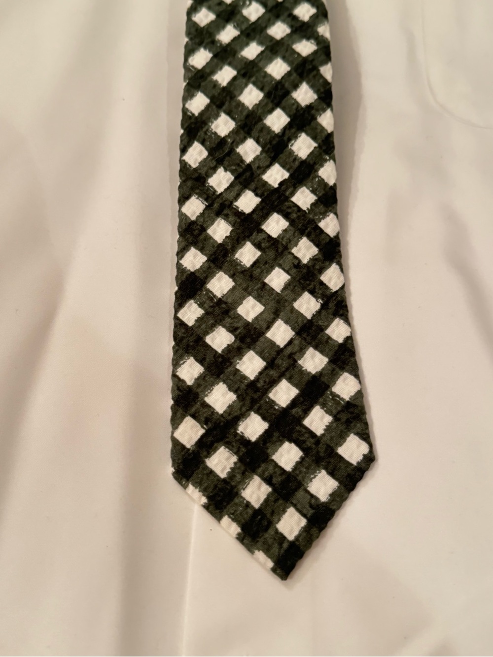 J.Crew Mens Green & White Gingham Seersucker Textured Necktie Tie